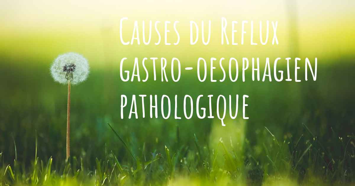 Quelles Sont Les Causes Du Reflux Gastro Oesophagien Pathologique Hot Sex Picture