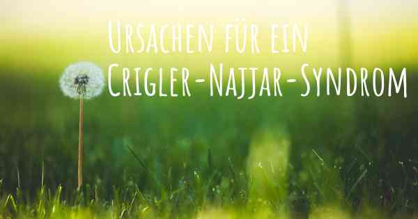 Ursachen für ein Crigler-Najjar-Syndrom