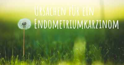 Ursachen für ein Endometriumkarzinom