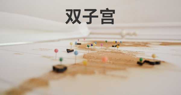 双子宫