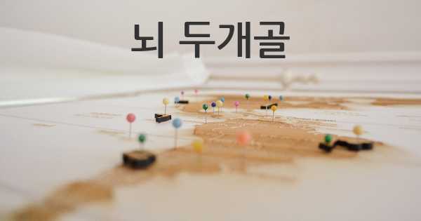 뇌 두개골