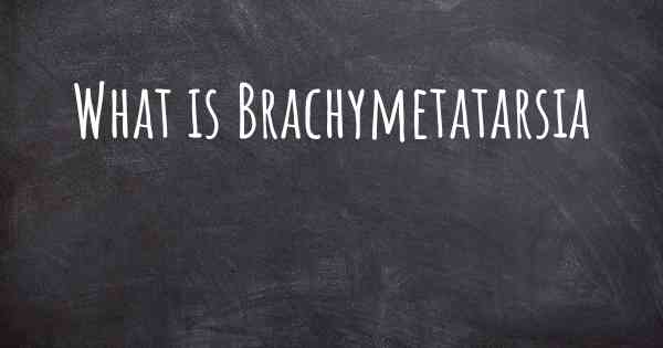 What is Brachymetatarsia