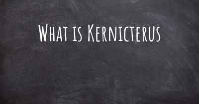 What is Kernicterus