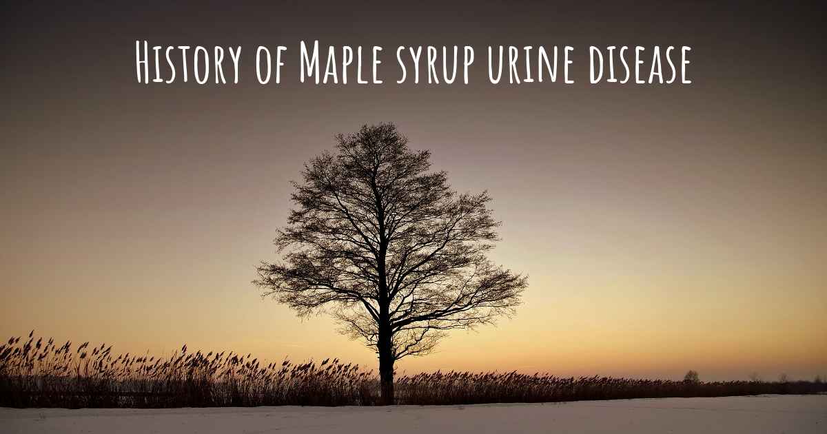 What is the history of Maple syrup urine disease?