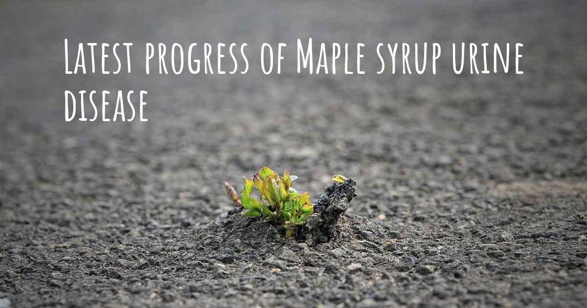 maple syrup urine disease in adults