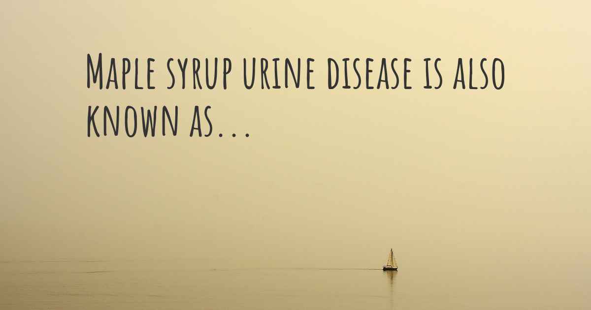 maple syrup urine disease case study