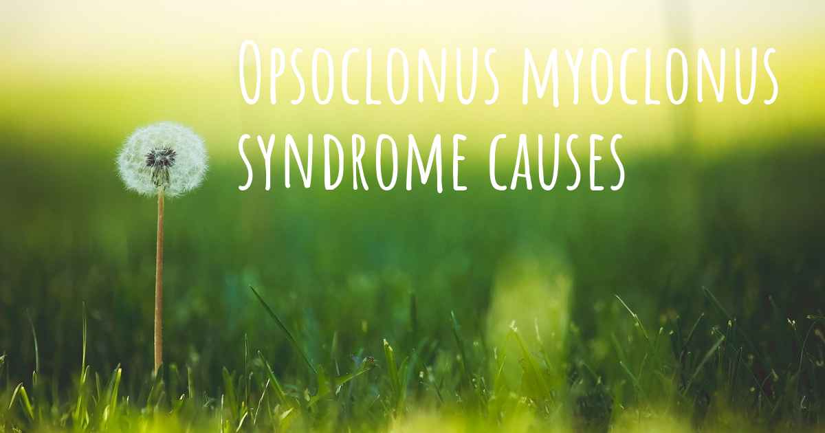 Which Are The Causes Of Opsoclonus Myoclonus Syndrome