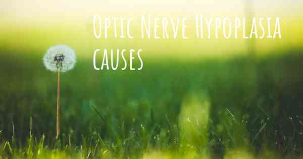 Optic Nerve Hypoplasia causes