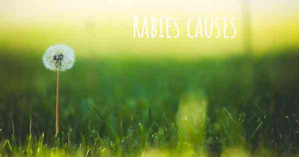 Rabies causes