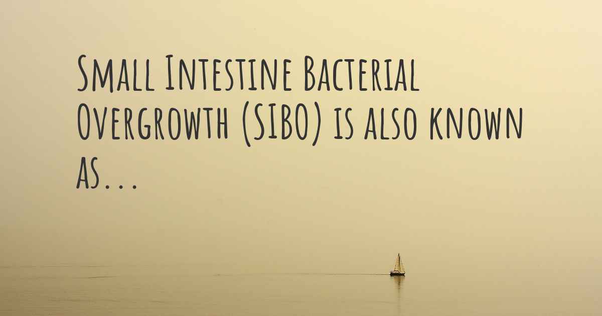 small-intestine-bacterial-overgrowth-sibo-synonyms