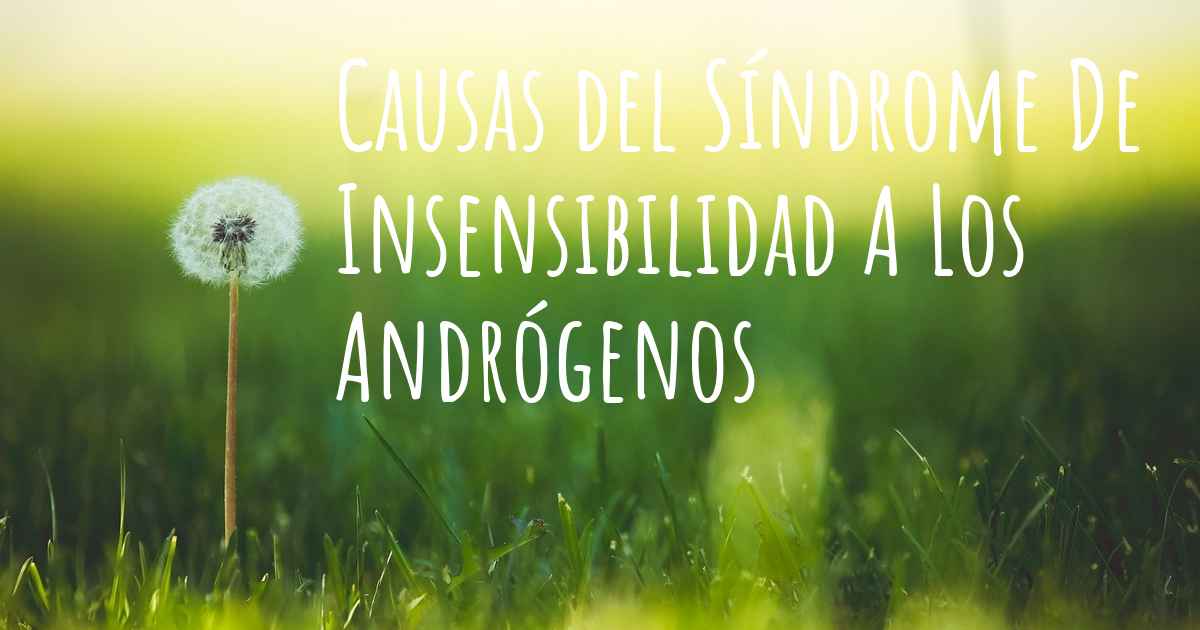 ¿cuales Son Las Causas Del Síndrome De Insensibilidad A Los Andrógenos