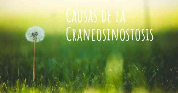Causas de la Craneosinostosis