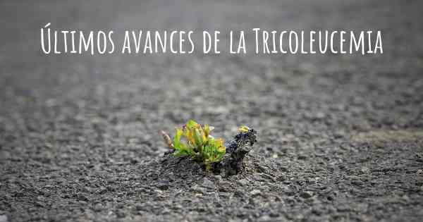Últimos avances de la Tricoleucemia