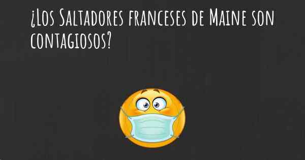 ¿Los Saltadores franceses de Maine son contagiosos?