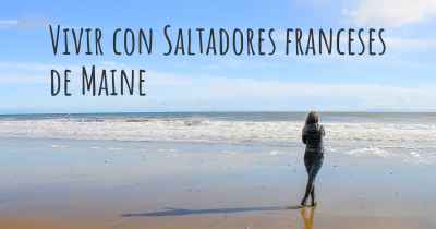 Vivir con Saltadores franceses de Maine