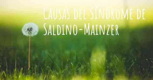 Causas del Síndrome de Saldino-Mainzer
