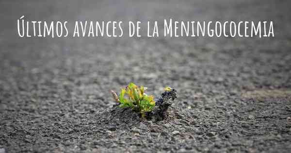 Últimos avances de la Meningococemia