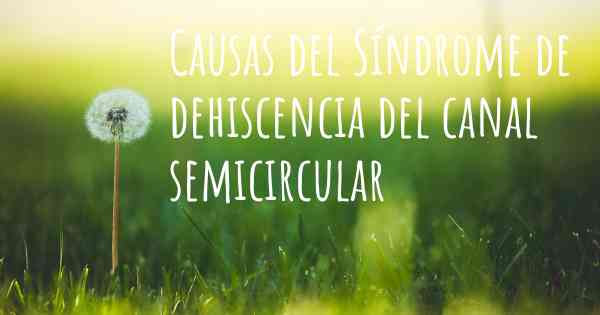 Causas del Síndrome de dehiscencia del canal semicircular