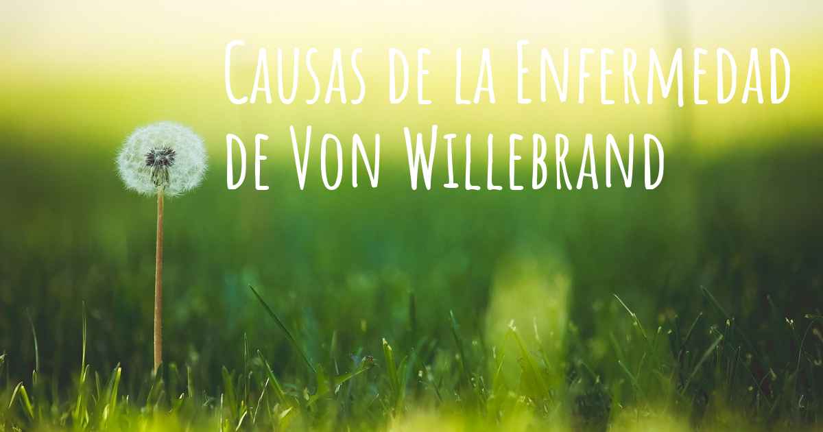 Cuales Son Las Causas De La Enfermedad De Von Willebrand