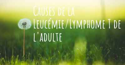 Causes de la Leucémie/Lymphome T de l'adulte