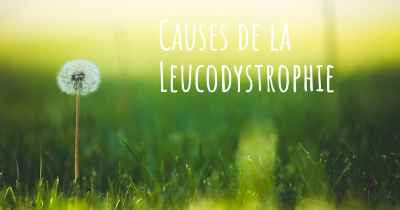 Causes de la Leucodystrophie