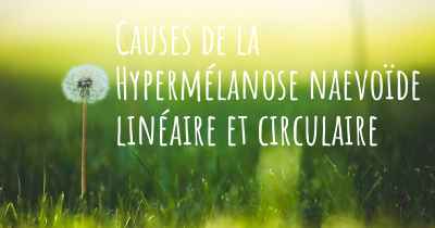 Causes de la Hypermélanose naevoïde linéaire et circulaire