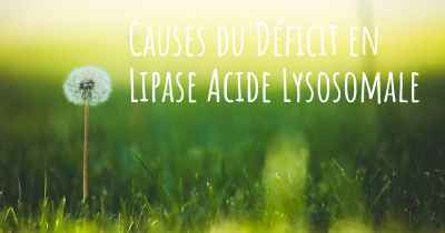 Causes du Déficit en Lipase Acide Lysosomale