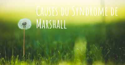 Causes du Syndrome de Marshall