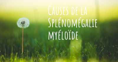 Causes de la Splénomégalie myéloïde