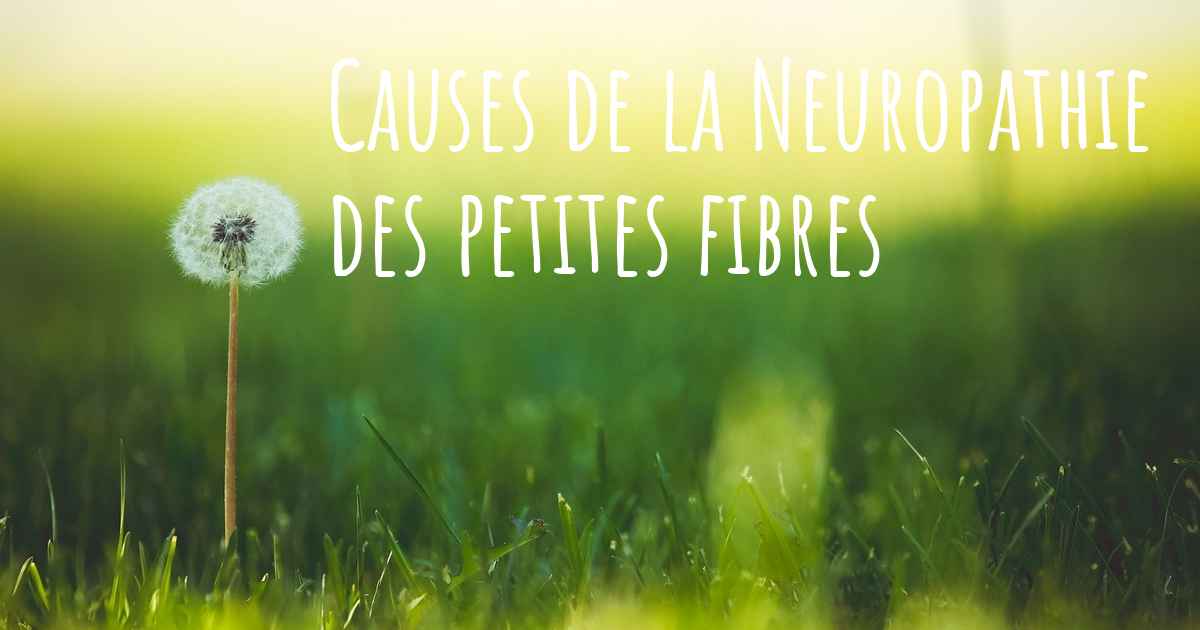 Neuropathie Des Petites Fibres Espérance De Vie Quelles sont les causes de la Neuropathie des petites fibres?