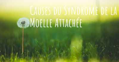 Causes du Syndrome de la Moelle Attachée