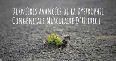 Dernières avancées de la Dystrophie Congénitale Musculaire D'Ullrich