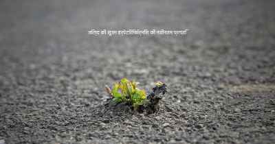 जिल्द की सूजन हर्पेटिरिफॉर्मिस की नवीनतम प्रगति