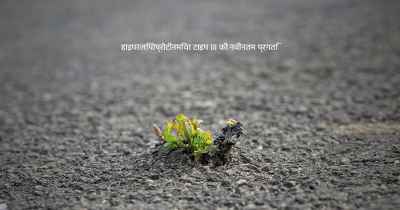 हाइपरलिपोप्रोटीनमिया टाइप III की नवीनतम प्रगति