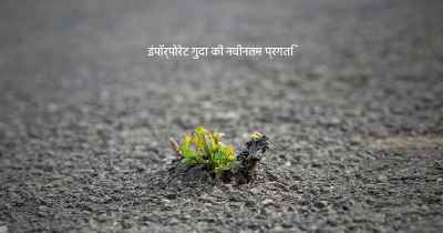 इंपॉर्पोरेट गुदा की नवीनतम प्रगति