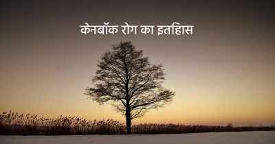 केनबॉक रोग का इतिहास