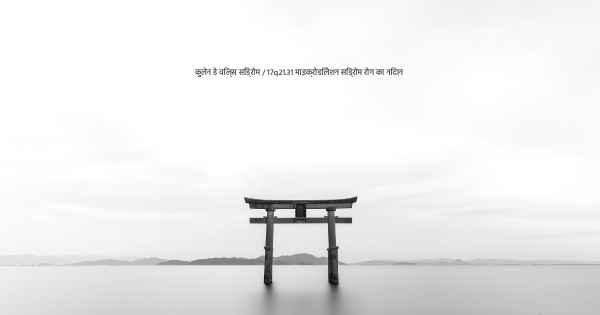 कुलेन डे विल्स सिंड्रोम / 17q21.31 माइक्रोडिलेशन सिंड्रोम रोग का निदान