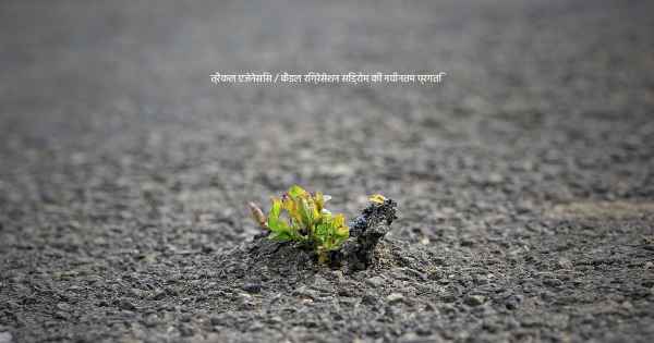 त्रैकल एजेनेसिस / कैडल रिग्रेसेशन सिंड्रोम की नवीनतम प्रगति