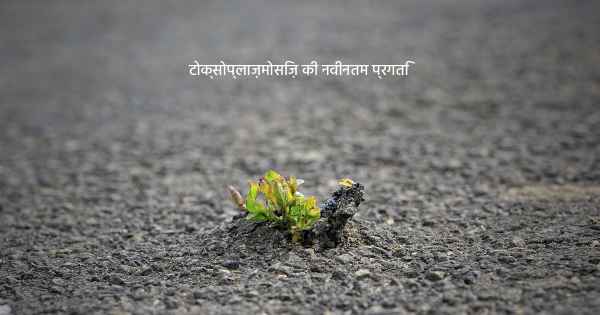 टोक्सोप्लाज़मोसिज़ की नवीनतम प्रगति