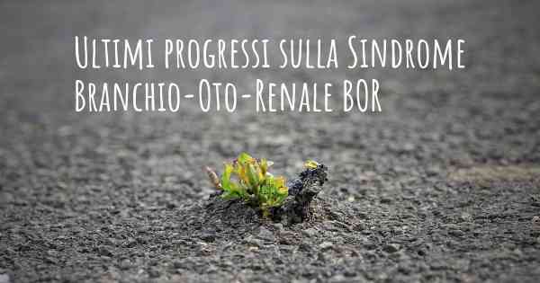 Ultimi progressi sulla Sindrome Branchio-Oto-Renale BOR