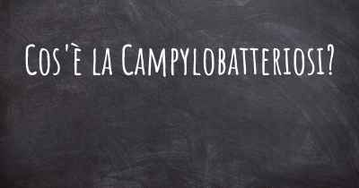 Cos'è la Campylobatteriosi?
