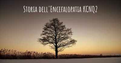 Storia dell'Encefalopatia KCNQ2
