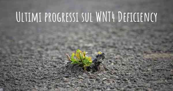 Ultimi progressi sul WNT4 Deficiency
