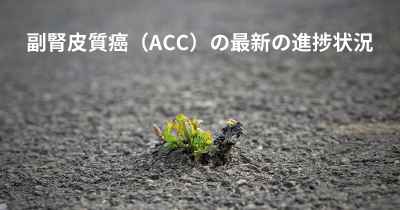 副腎皮質癌（ACC）の最新の進捗状況