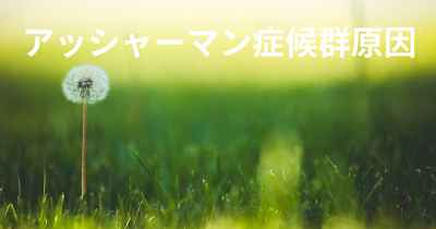 アッシャーマン症候群原因