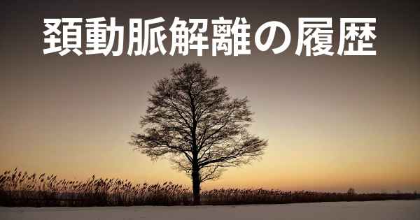 頚動脈解離の履歴