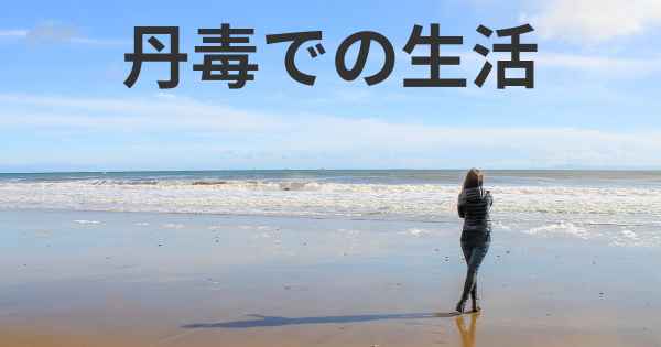 丹毒での生活