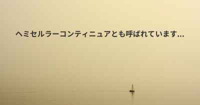 ヘミセルラーコンティニュアとも呼ばれています...