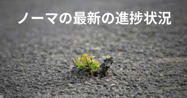 ノーマの最新の進捗状況