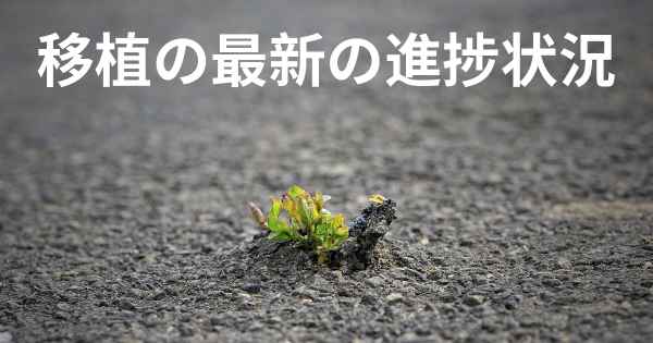 移植の最新の進捗状況